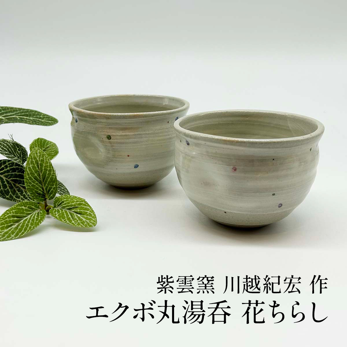 信楽焼　エクボ丸湯呑　花ちらし
