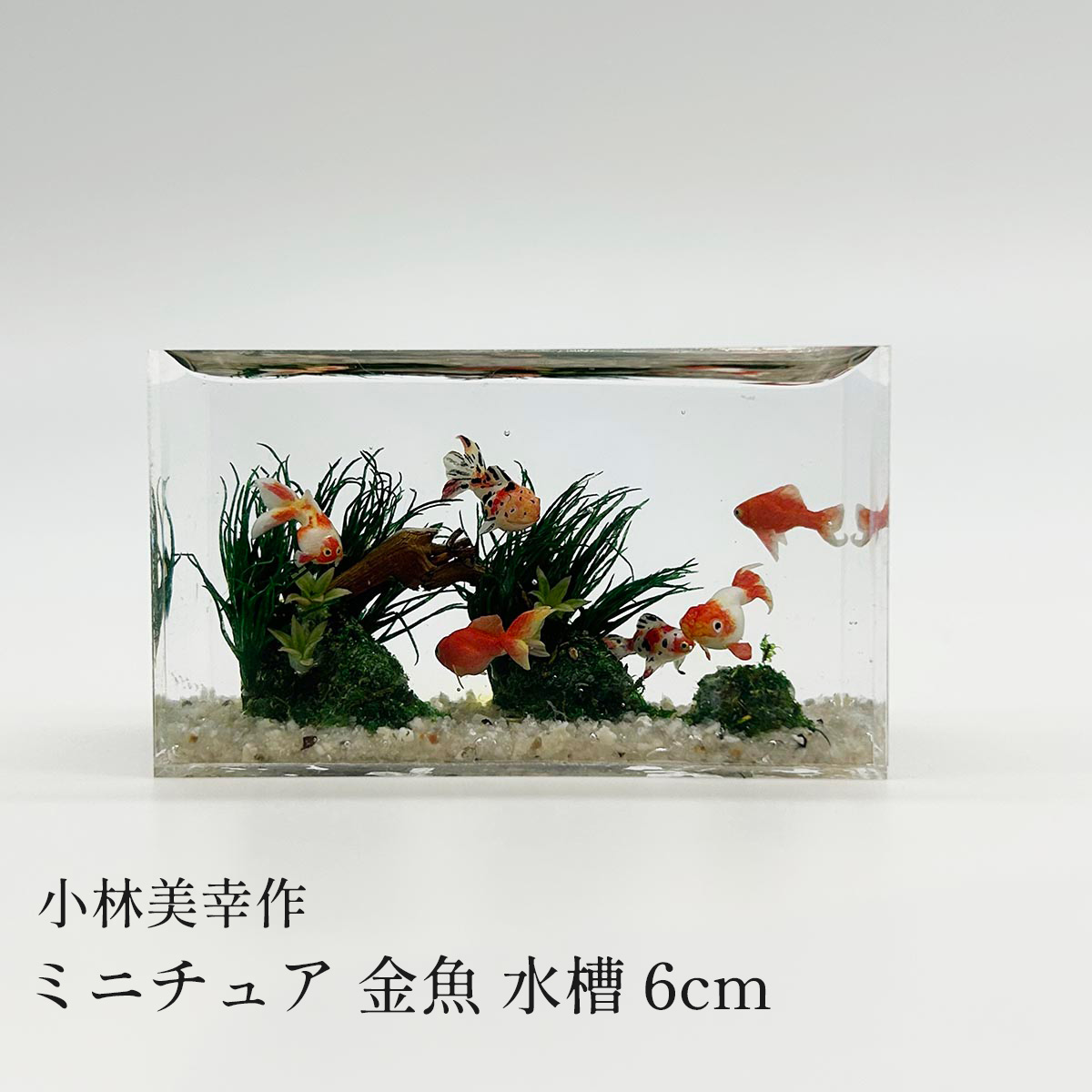 小林美幸 ミニチュア 金魚 水槽 6cm