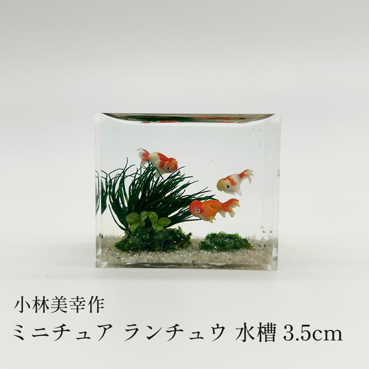 小林美幸 ミニチュア ランチュウ 水槽 3.5cm