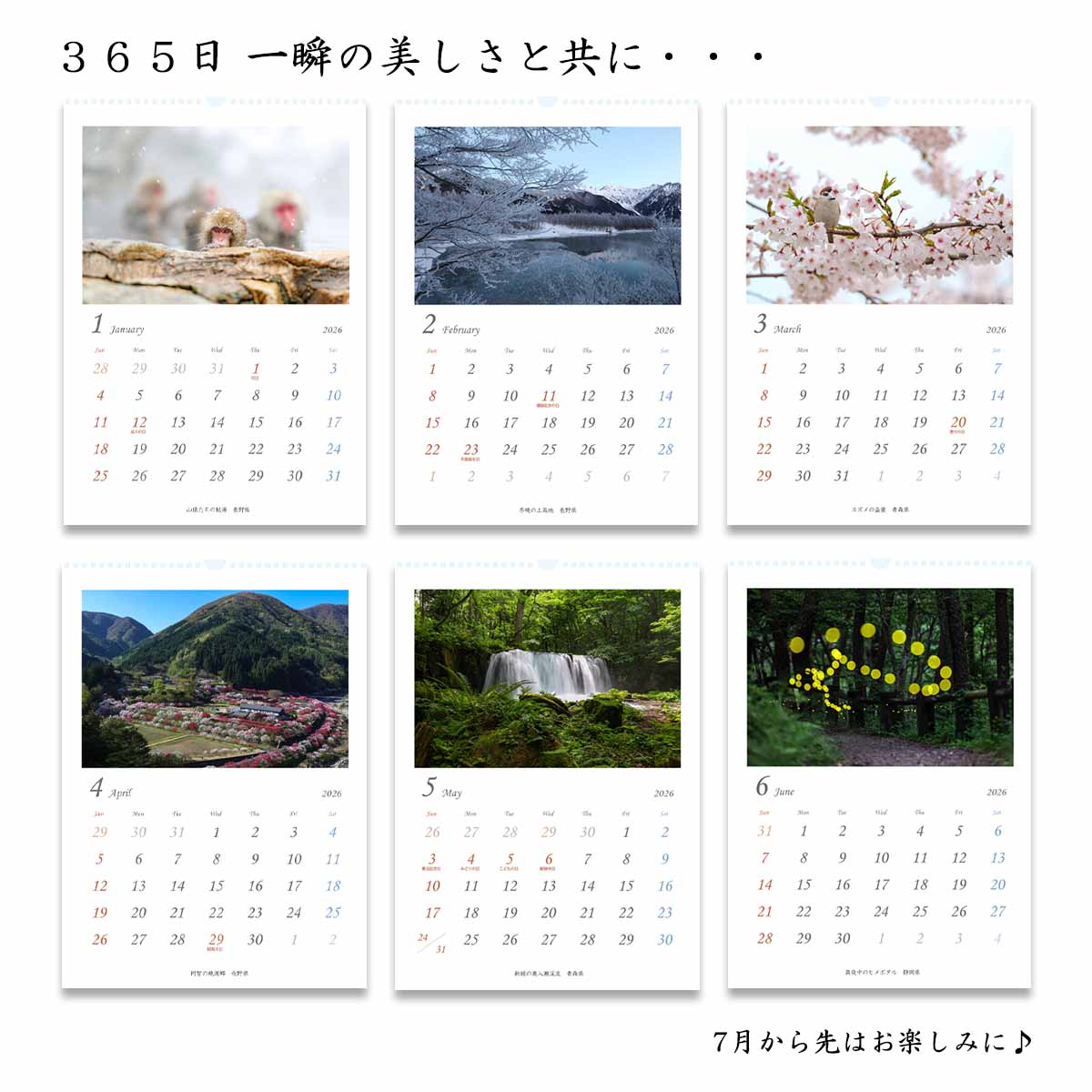 アバランチェ 2026年 カレンダー