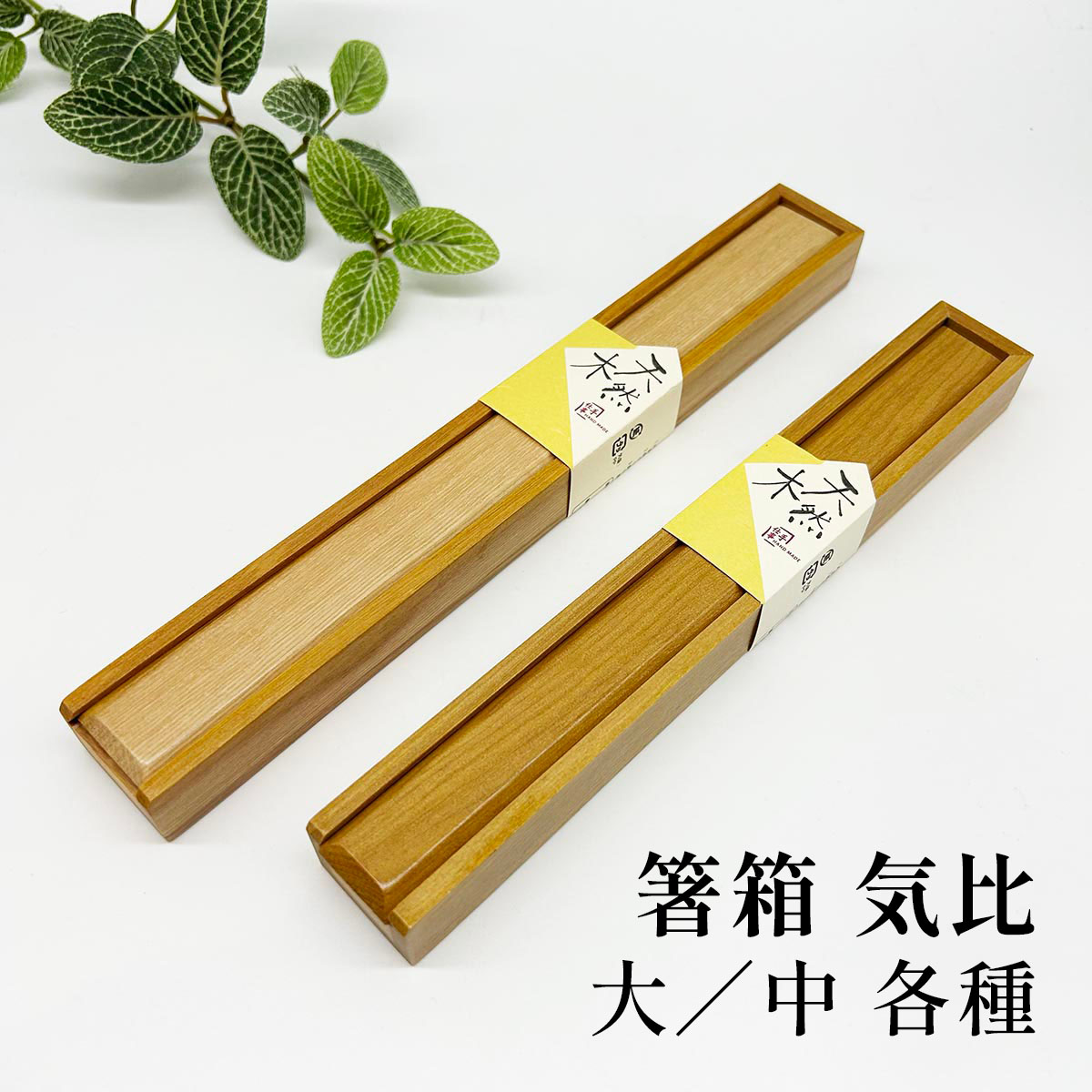 箸箱 気比 大/中 各種