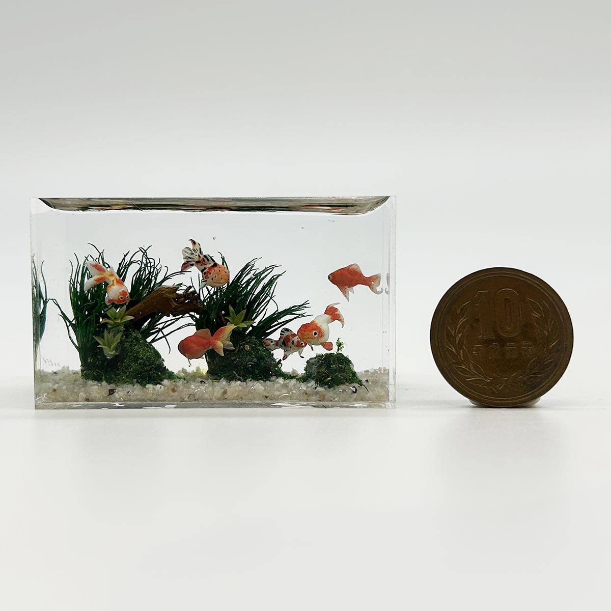 小林美幸作 金魚 水槽 6cm