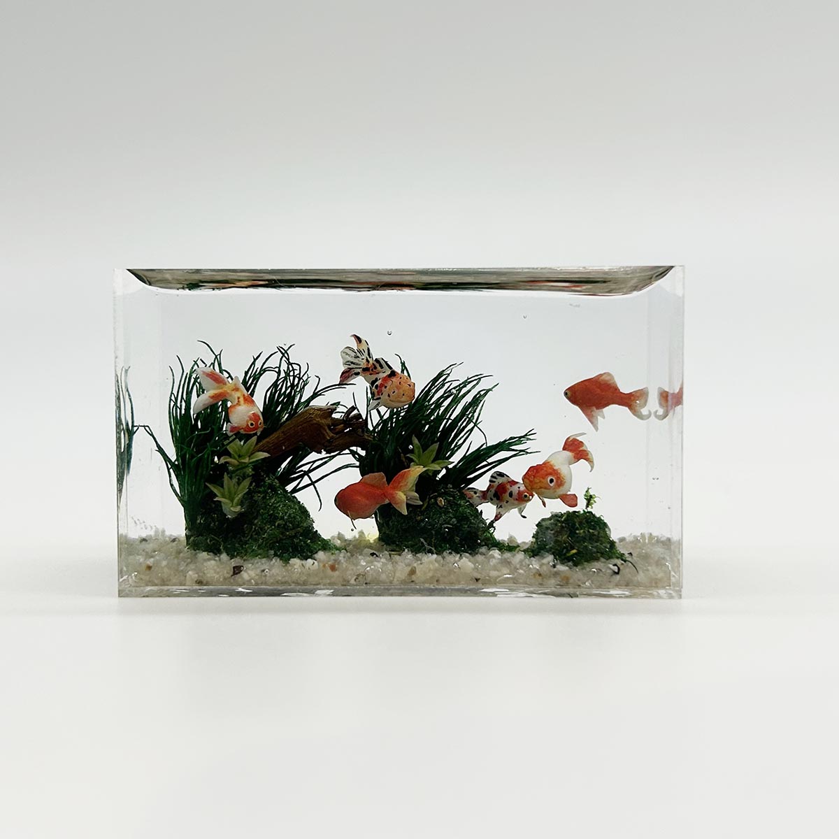 小林美幸作 金魚 水槽 6cm