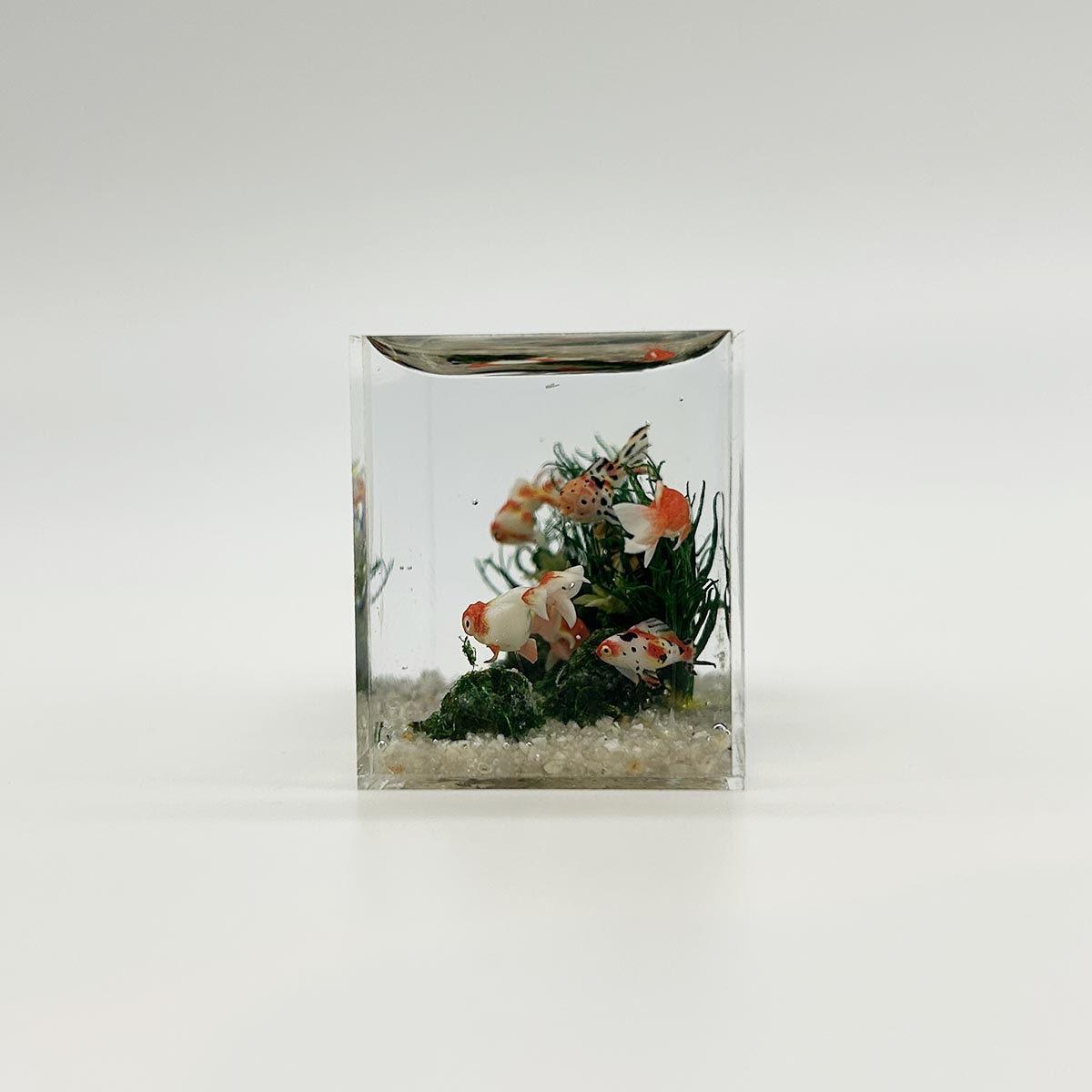 小林美幸作 金魚 水槽 6cm