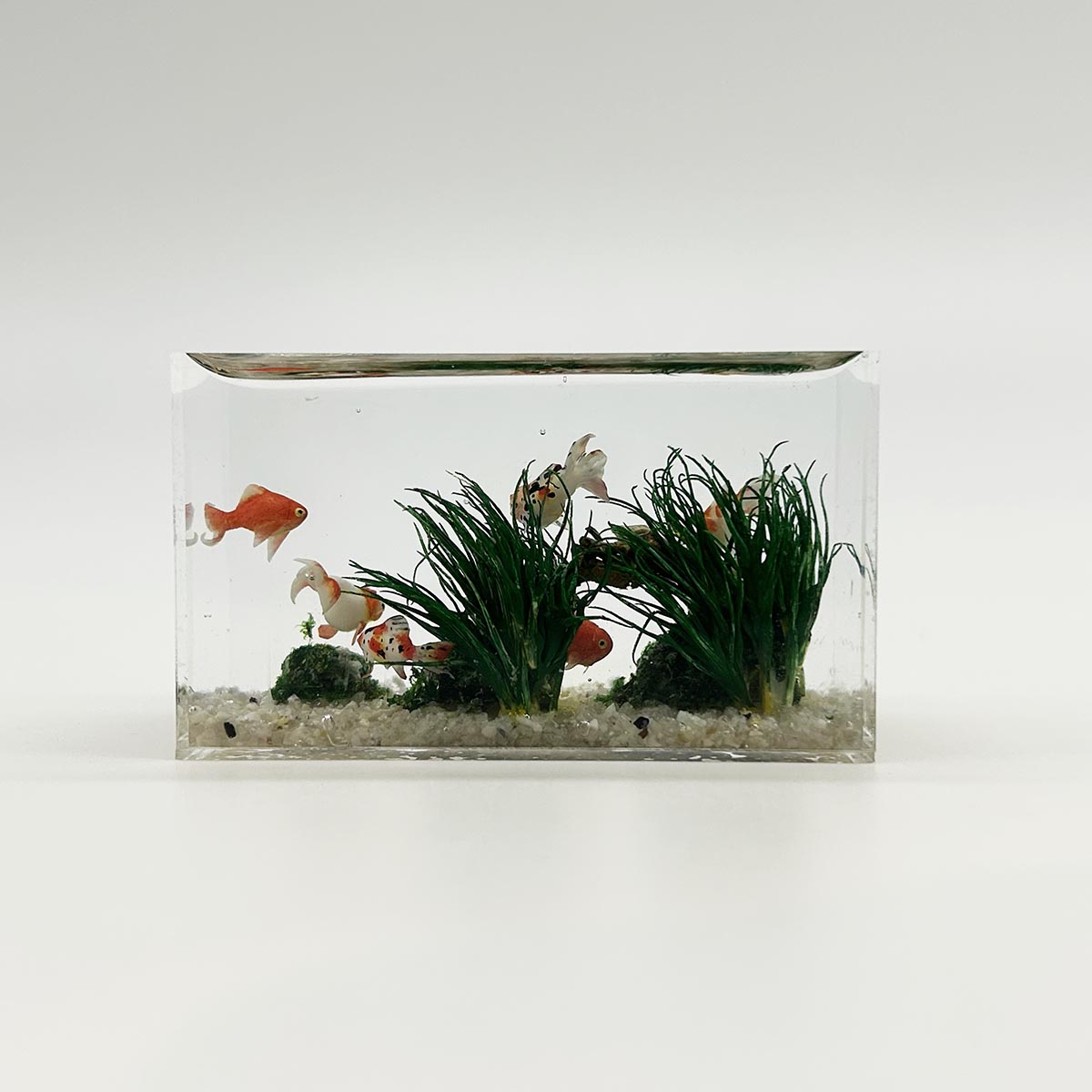小林美幸作 金魚 水槽 6cm