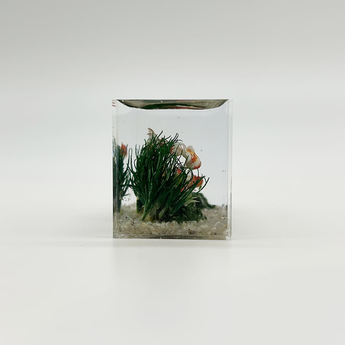 小林美幸作 金魚 水槽 6cm