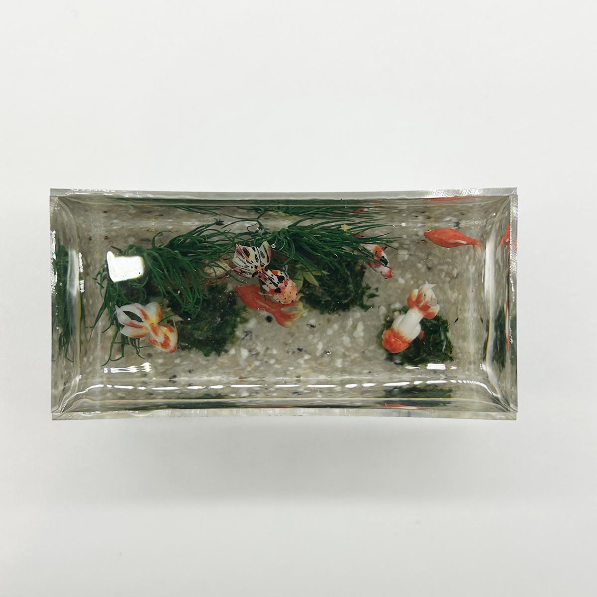 小林美幸作 金魚 水槽 6cm