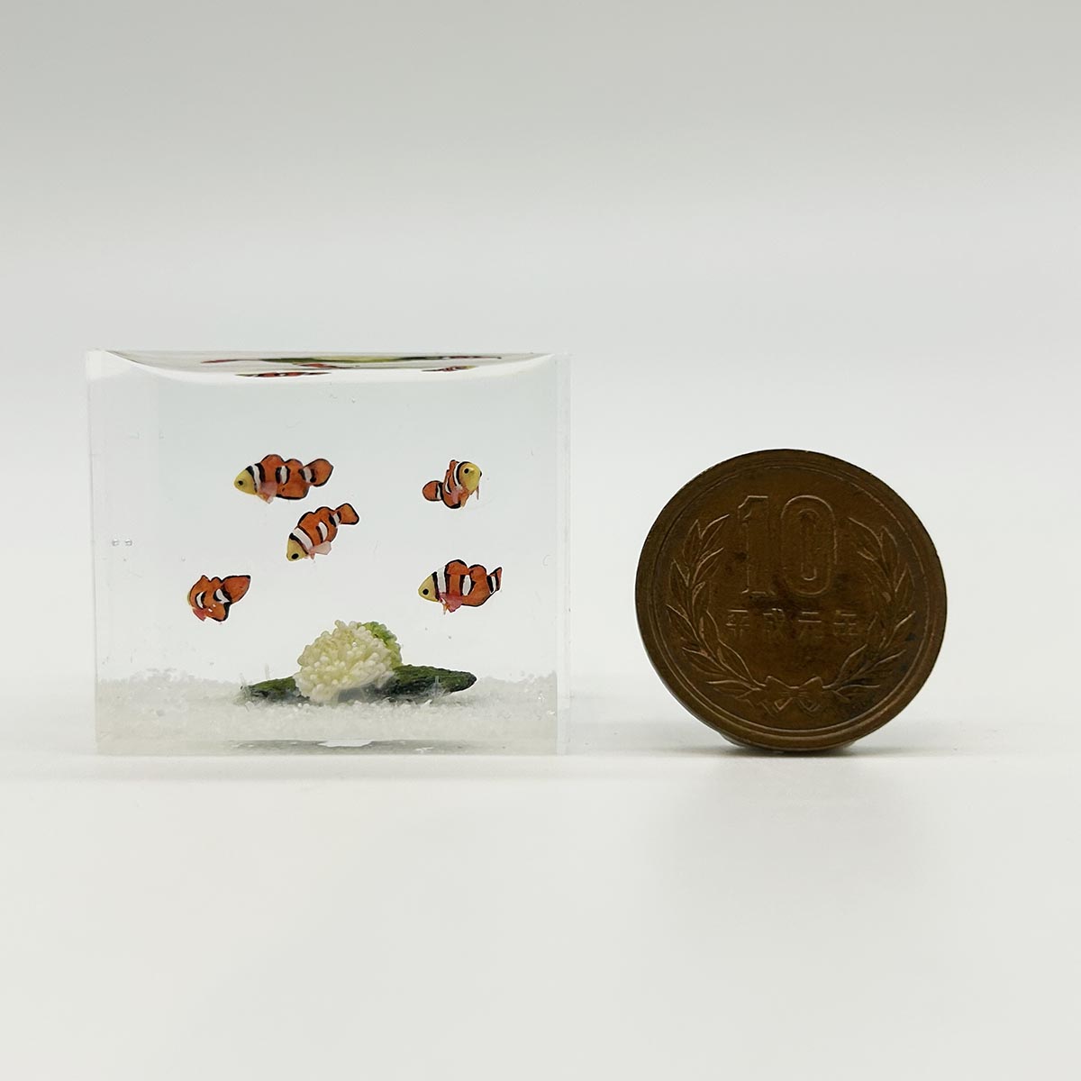 小林美幸作 クマノミ 水槽 3.5cm