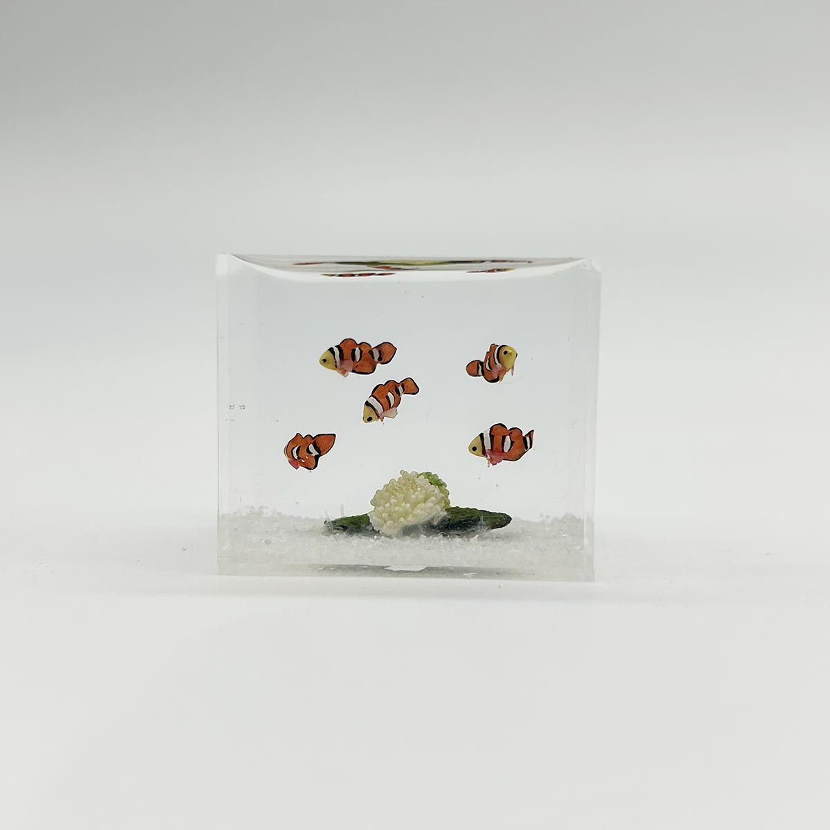 小林美幸作 クマノミ 水槽 3.5cm