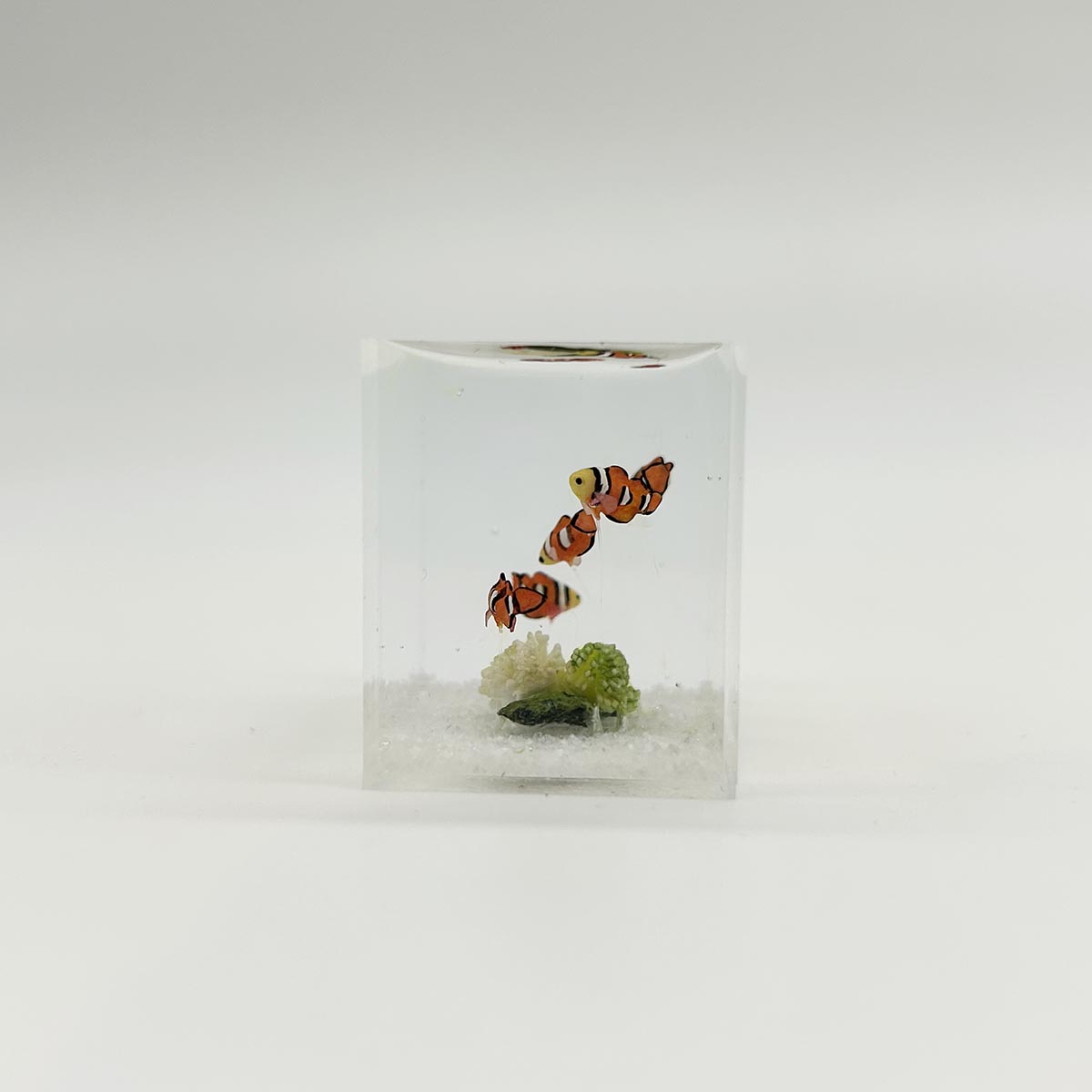 小林美幸作 クマノミ 水槽 3.5cm