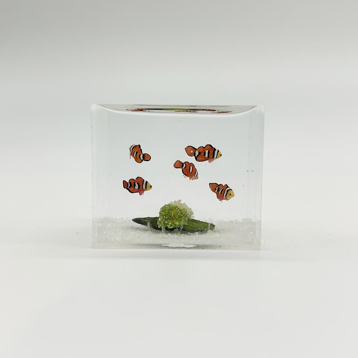 小林美幸作 クマノミ 水槽 3.5cm