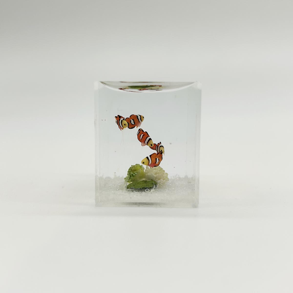 小林美幸作 クマノミ 水槽 3.5cm