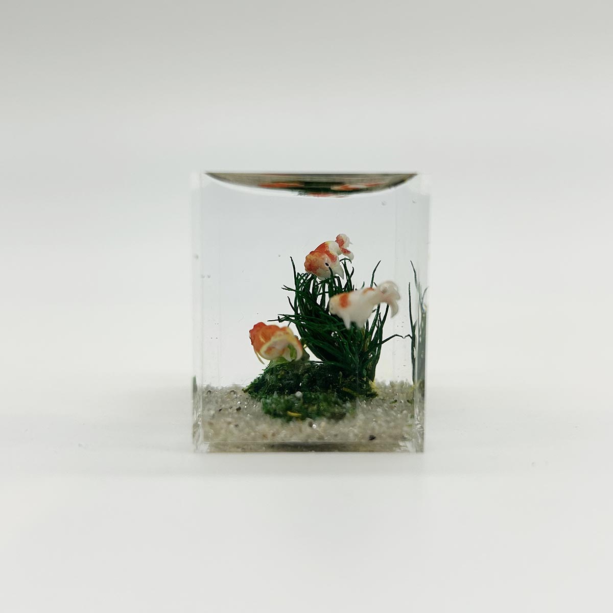 小林美幸作 ランチュウ 水槽 3.5cm