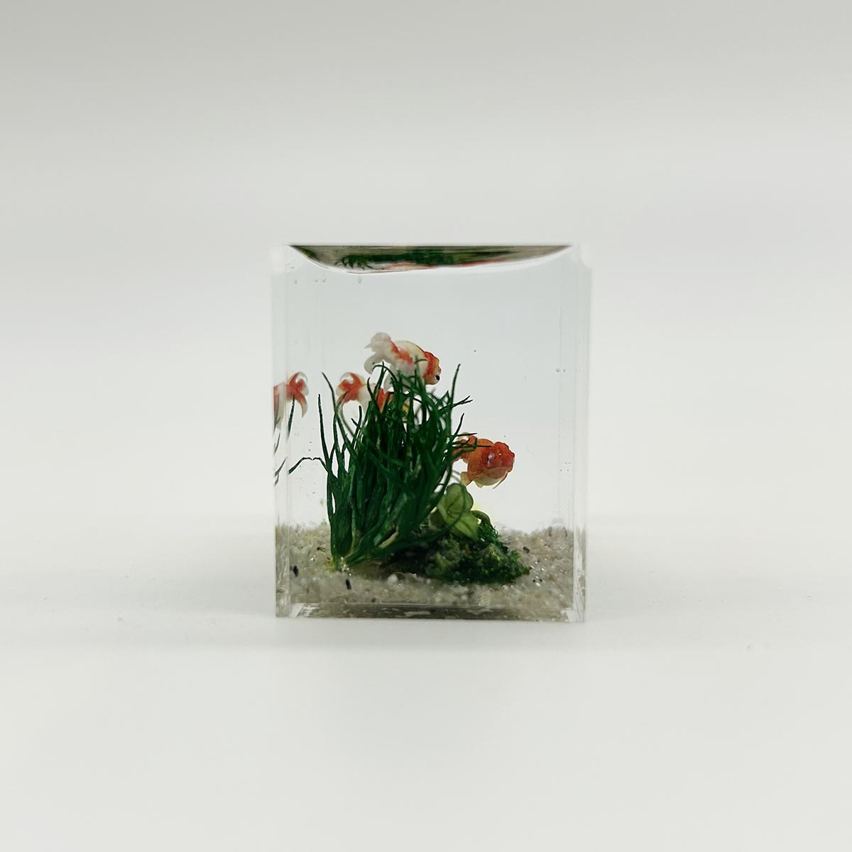 小林美幸作 ランチュウ 水槽 3.5cm