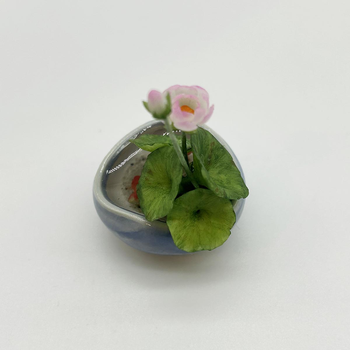 小林美幸作 金魚 蓮 陶器鉢