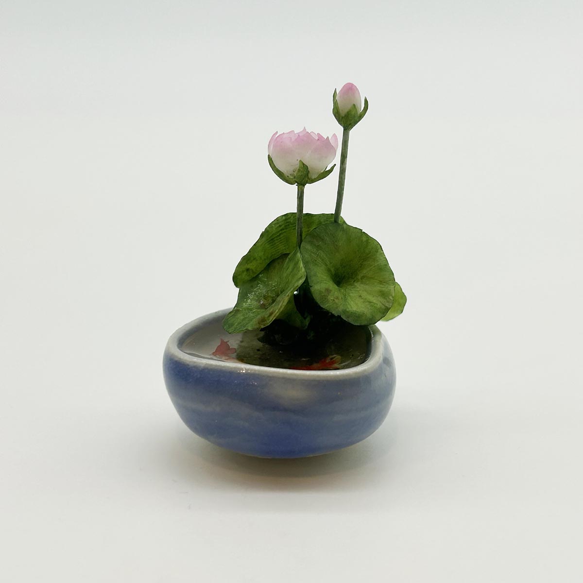 小林美幸作 金魚 蓮 陶器鉢