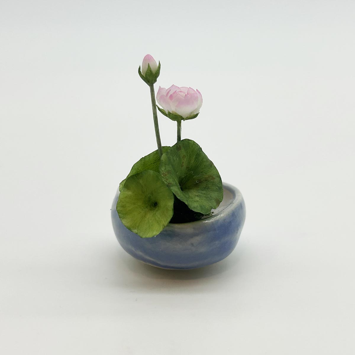 小林美幸作 金魚 蓮 陶器鉢
